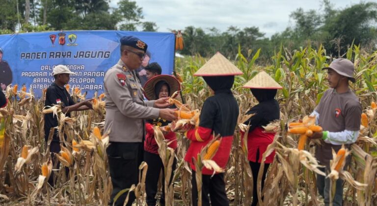 588225264_1155939906715867_5690925184254693847_n