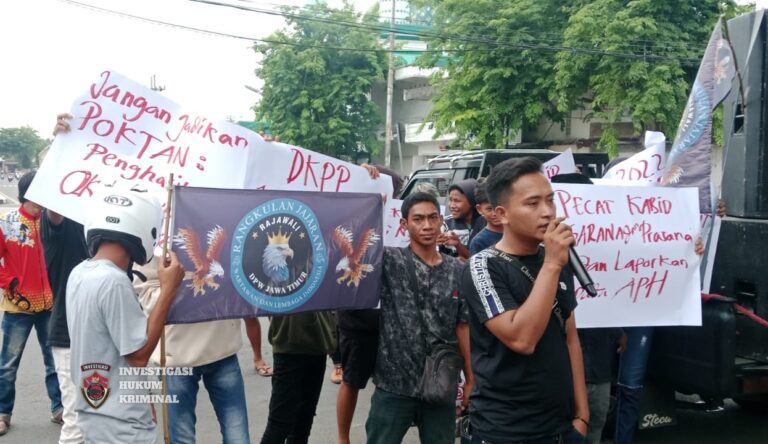 WhatsApp Image 2025-11-12 at 16.59.58_5ae28393