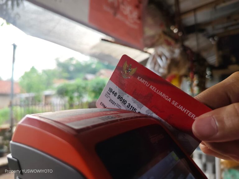 WhatsApp Image 2025-11-15 at 16.41.46_1937a3a6