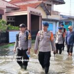 WhatsApp Image 2025-12-06 at 09.00.00_929ecb88