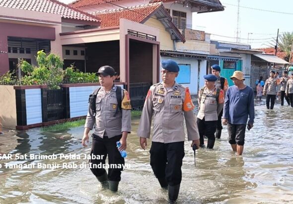 WhatsApp Image 2025-12-06 at 09.00.00_929ecb88